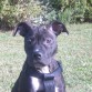 Buba Posando (4 meses)